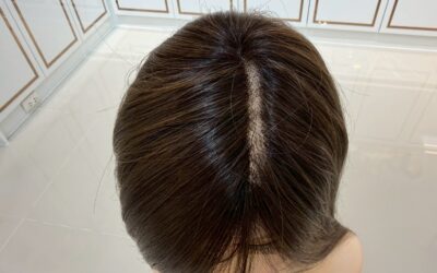 วิกผมไฟเบอร์เกรดพรีเมี่ยม(แบรนด์ Ellen Wille) VS วิกผมแท้